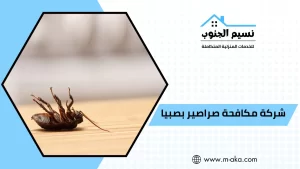 شركة مكافحة صراصير بصبيا