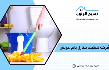 شركة تنظيف منازل بابو عريش