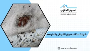 شركة مكافحة بق الفراش بالعارضه