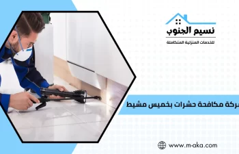 شركة مكافحة حشرات بخميس مشيط