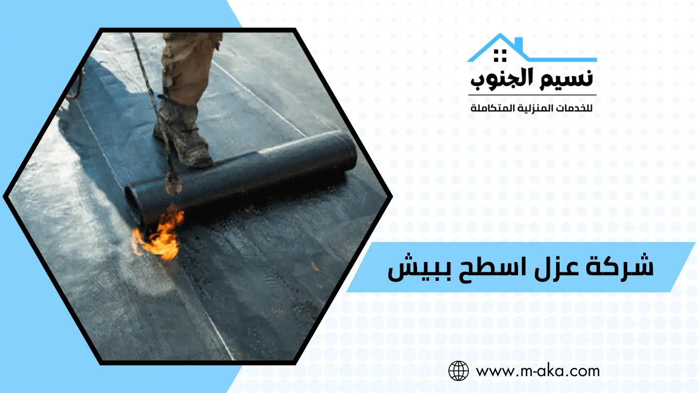 شركة عزل اسطح ببيش