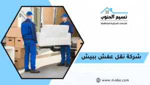 شركة نقل عفش ببيش