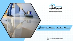 شركة تنظيف سيراميك ببيش