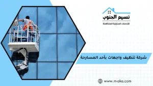 شركة تنظيف واجهات بأحد المسارحة