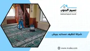 شركة تنظيف مساجد ببيش