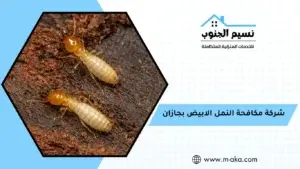 شركة مكافحة النمل الابيض بجازان