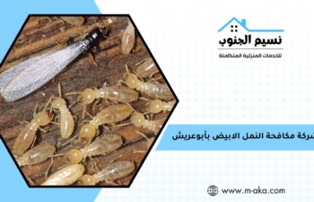 شركة مكافحة النمل الابيض بأبوعريش