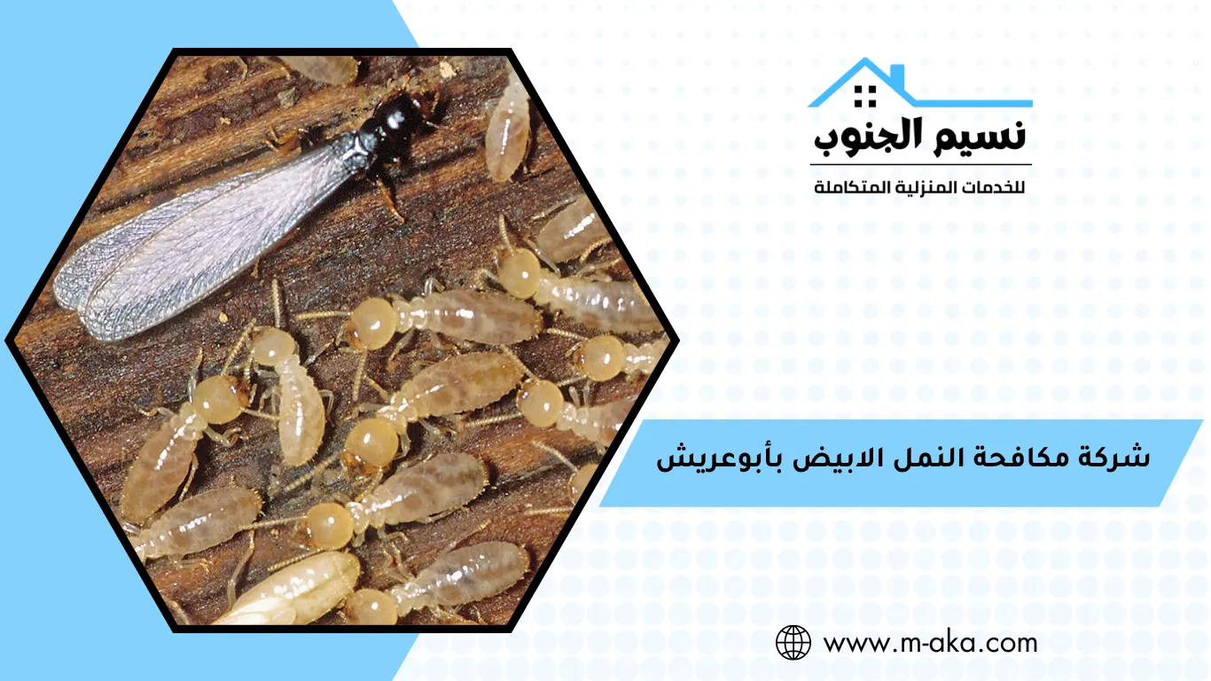 شركة مكافحة النمل الابيض بأبوعريش