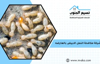 شركة مكافحة النمل الابيض بالعارضه
