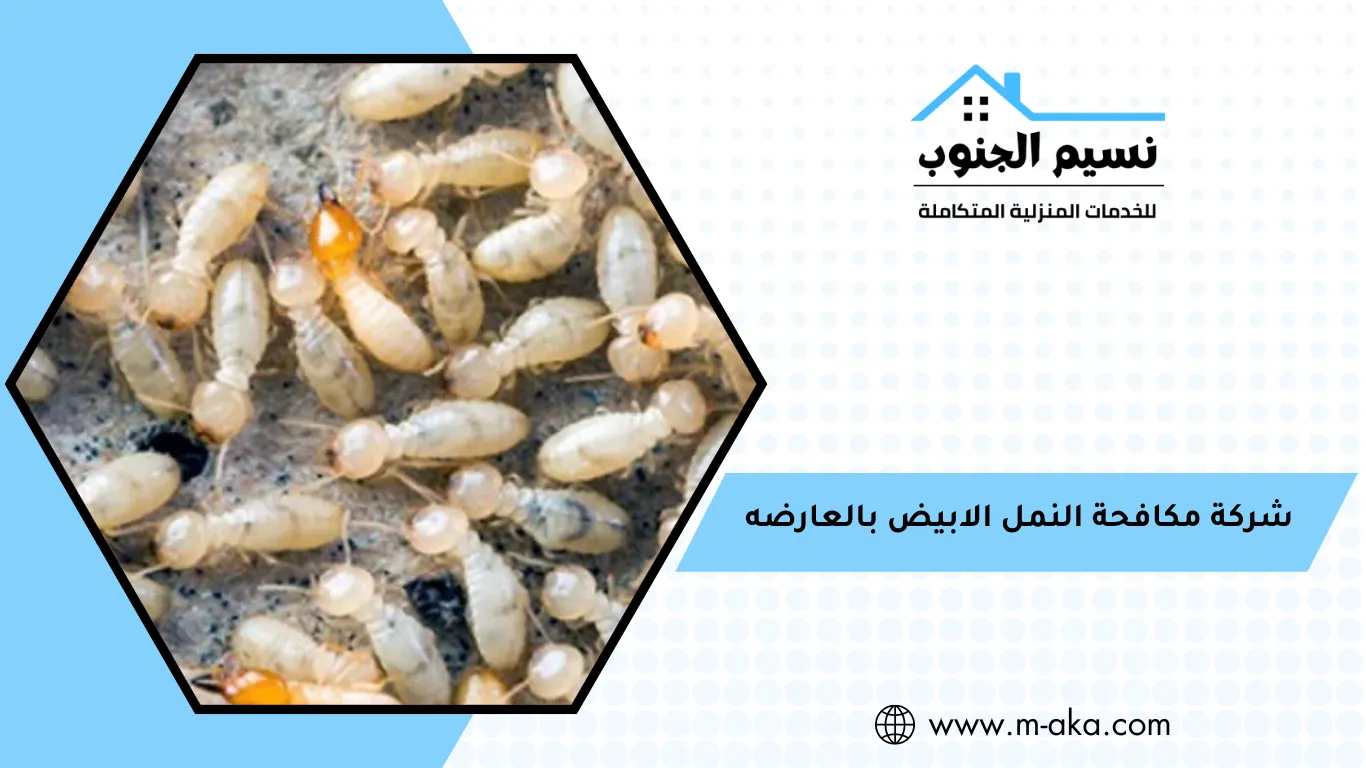 شركة مكافحة النمل الابيض بالعارضه