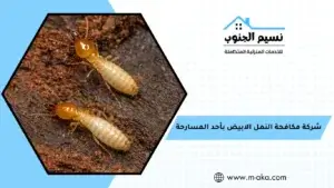 شركة مكافحة النمل الابيض بأحد المسارحة