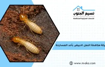 شركة مكافحة النمل الابيض بأحد المسارحة