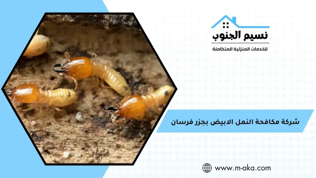 شركة مكافحة النمل الابيض بجزر فرسان
