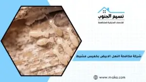 شركة مكافحة النمل الابيض بخميس مشيط