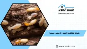 شركة مكافحة النمل الابيض بصبيا