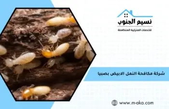شركة مكافحة النمل الابيض بصبيا