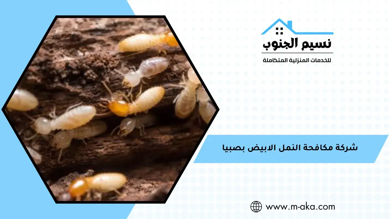 شركة مكافحة النمل الابيض بصبيا