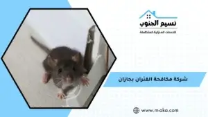 شركة مكافحة الفئران بجازان