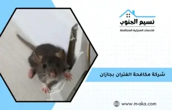 شركة مكافحة الفئران بجازان
